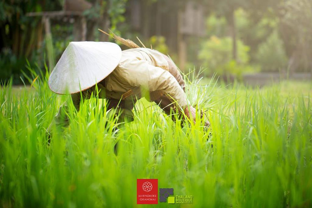 The Marndadee Heritage Chiang Mai Dış mekan fotoğraf
